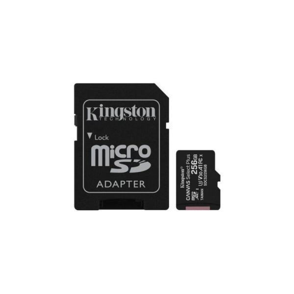 MEMORIA MICRO 256 GB